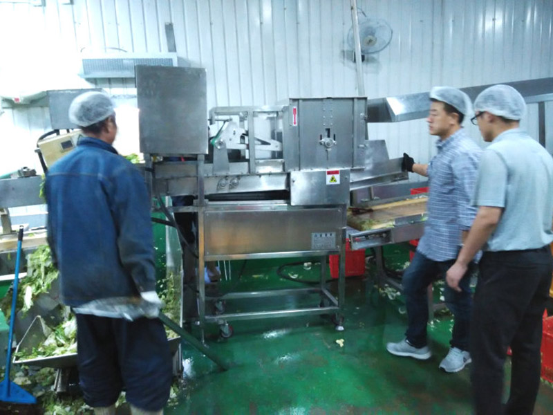 白菜切塊機(jī)