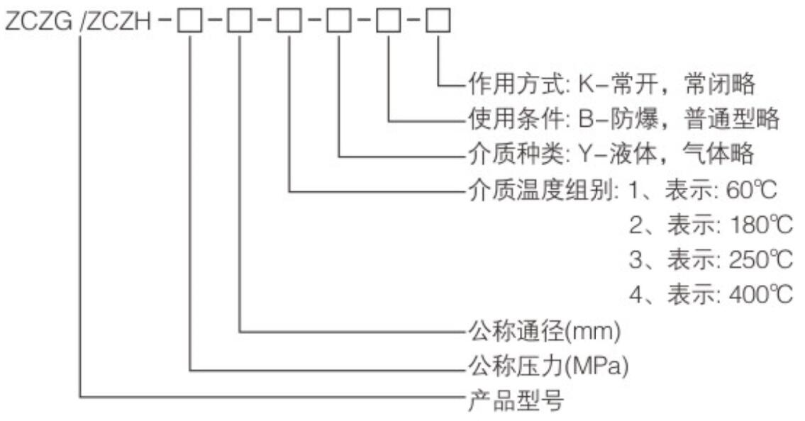 ZCZGH系列高溫高壓電磁閥2.jpg